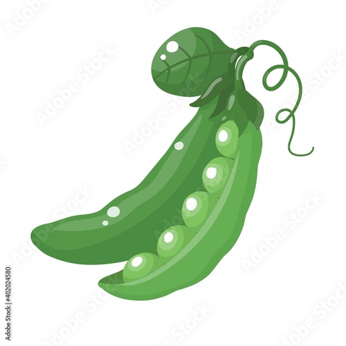 Cartoon peas isolated on white background