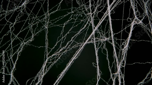 White spider web on black studio background. Halloween decoration. Close up. Slow motion. photo