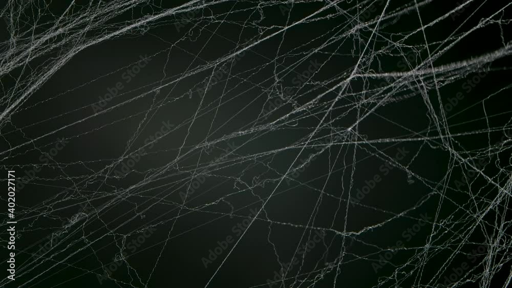 Spooky spider web on black studio background. Decorations for the celebration of the night of Halloween. Close up. Slow motion.