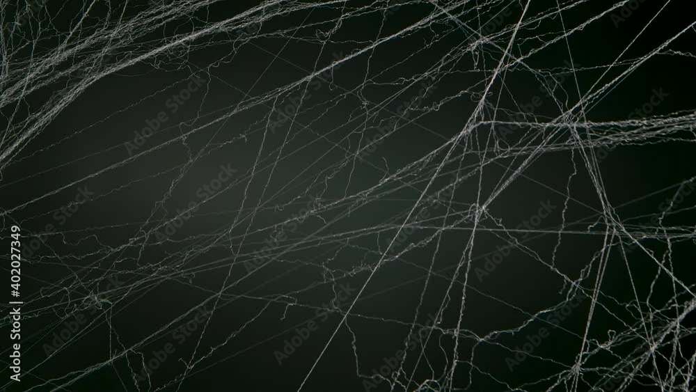 Spooky spider web on black studio background. Decorations for the celebration of the night of Halloween. Close up. Slow motion.