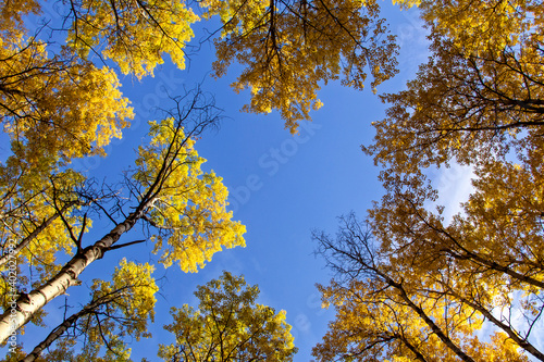 Autumn Northern Saskatchewan