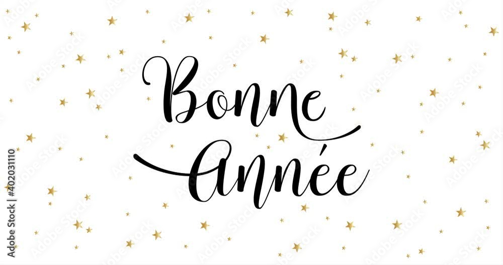 Happy New Year celebration card with fireworks for mailing, web invitation, greeting cards… animation made in 4K vector design. White background and french text : BONNE ANNEE
