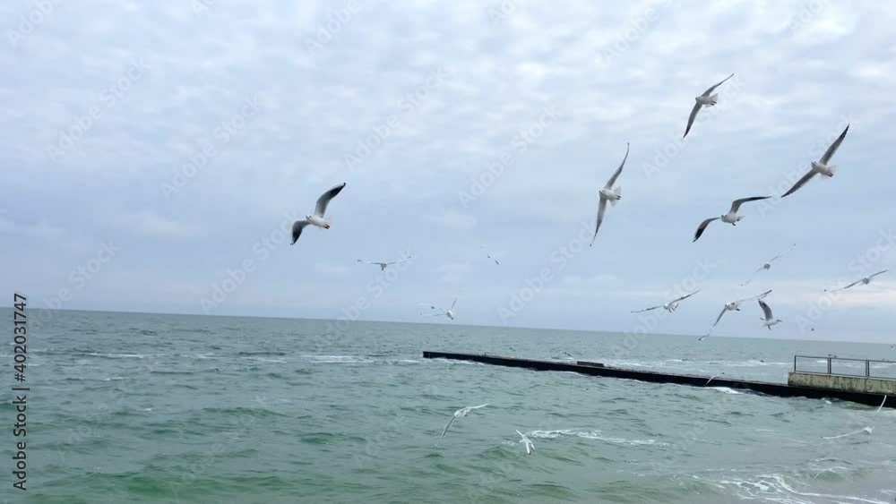 Seagulls is flying in air on sea beach Seagulls is flying in air on sea beach