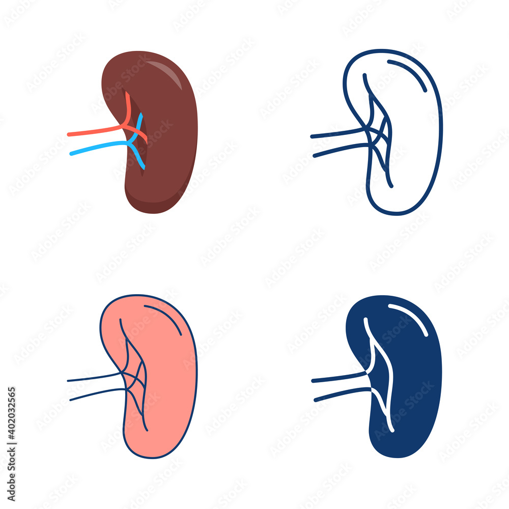 Spleen icon set in flat and line style Spleen icon set in flat and line style