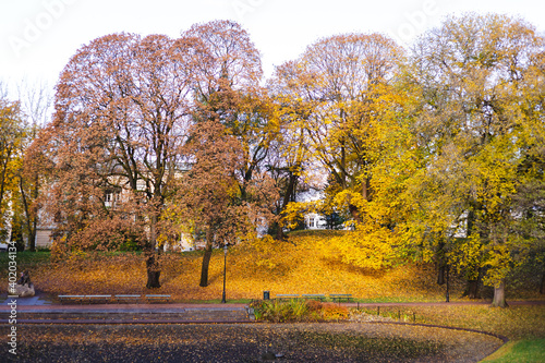 Canvas Print Oslo in awtum