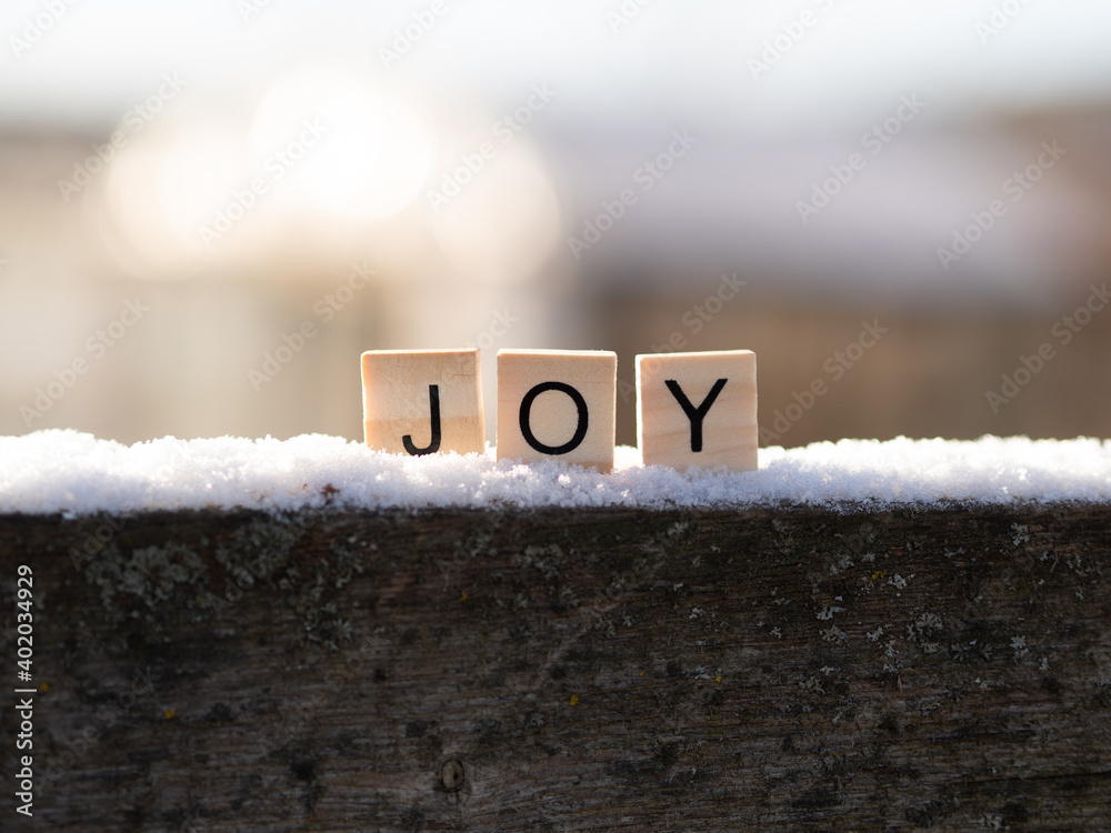 joy - napis z drewnianych kostek, ułożony w śniegu, język angielski  - obrazy, fototapety, plakaty 
