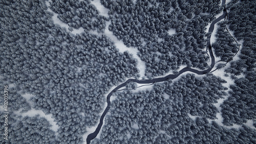 Snowy forest with river from a bird's eye view - Winter - Christmas tree with snow