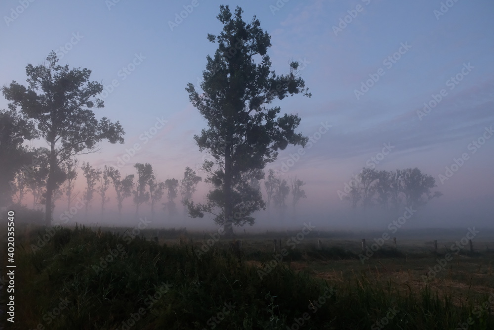 Drömling im Nebel