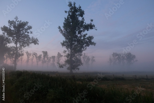 Dr  mling im Nebel