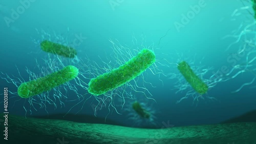 Virus, bacteria, cell infected organism. Hepatitis viruses in infected organism. Gram negativas Proteobacteria, bacteria such as salmonella, escherichia coli, yersinia pestis, klebsiella. 3D animation photo