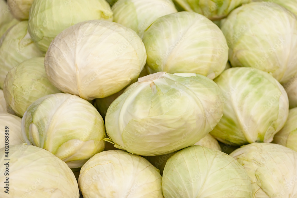 Fresh green cabbages in a market. Vegetable. Fresh green cabbages in a market. Vegetable.