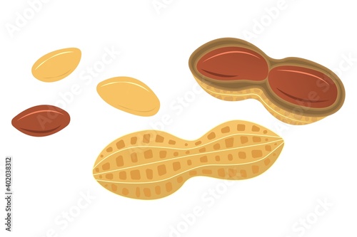 Peanuts in cartoon style for template label, packaging snack design. Vector illustration