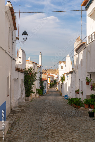 Traditional houses and castle  on the Alentejo village of Terena  in Portugal