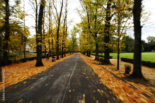 autumn in Florence  Italy