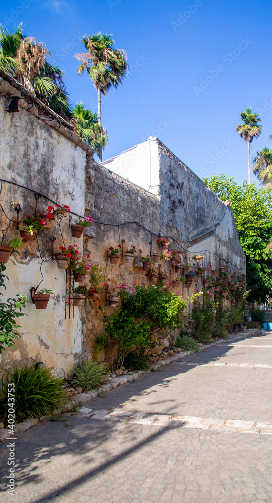 Wall of hanging plant pots with flowers and irrigation systemat the Midrechov Street in Zichron Yaakov Israel