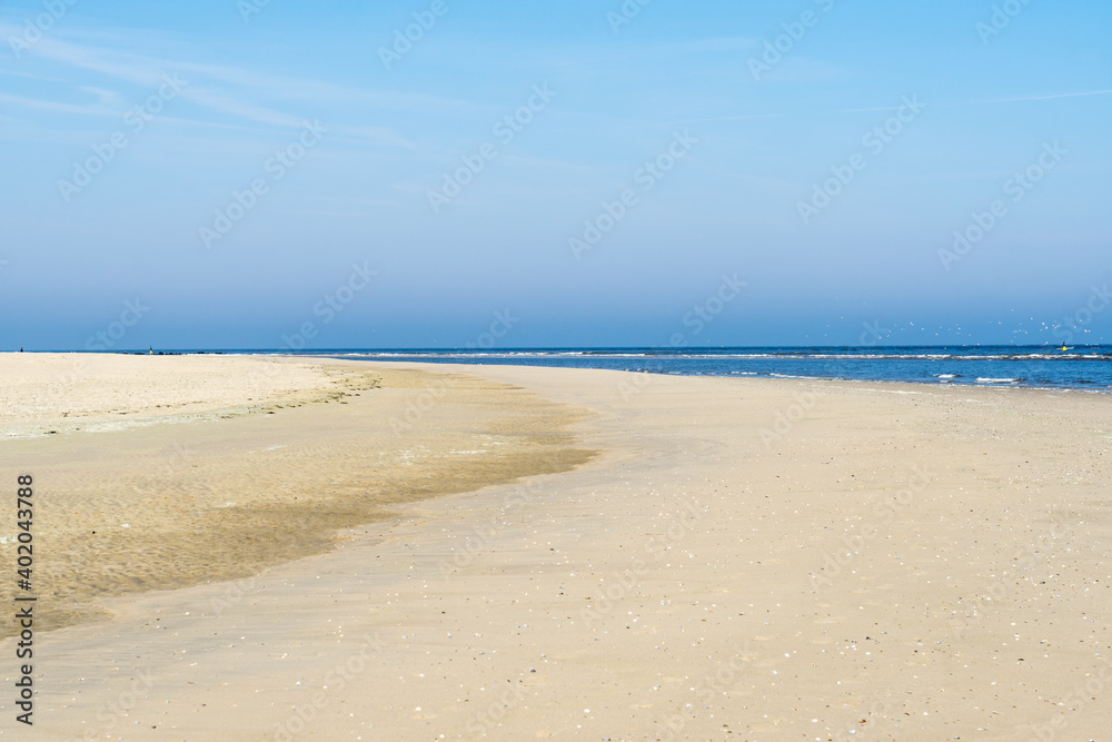 Yellow  empty beach at the Dutch North Sea in summer with blue sky and sea