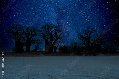 Stars and milky way Night sky at Baines baobabs rest camp in Nxai Pan National Park, Botswana - Africa photo