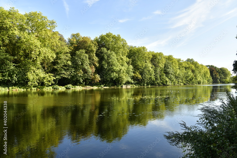 Reflet majestueux des arbres au Grand Canal du parc d'Enghien en Hainaut 
