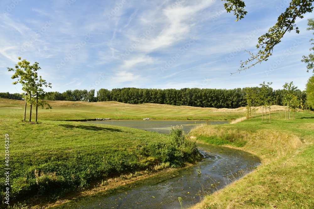 Marrais entre prairies au parc d'Enghien en Hainaut
