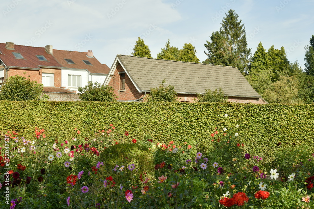 Le Jardin des Dahlias dans un cadre idyllique au parc d'Enghien en Hainaut 