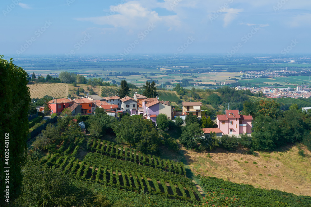 view of the vineyards in the autumn