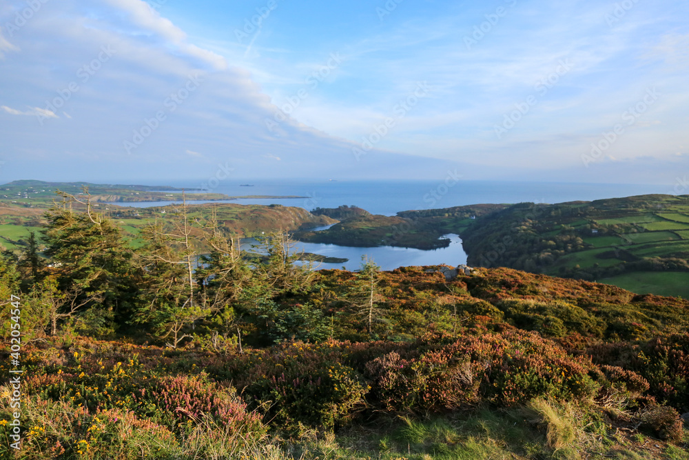 Lough Hyne from the hill