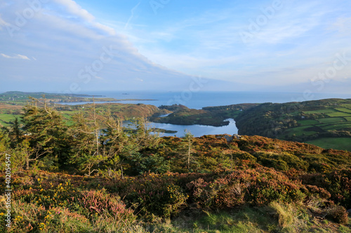 Lough Hyne from the hill