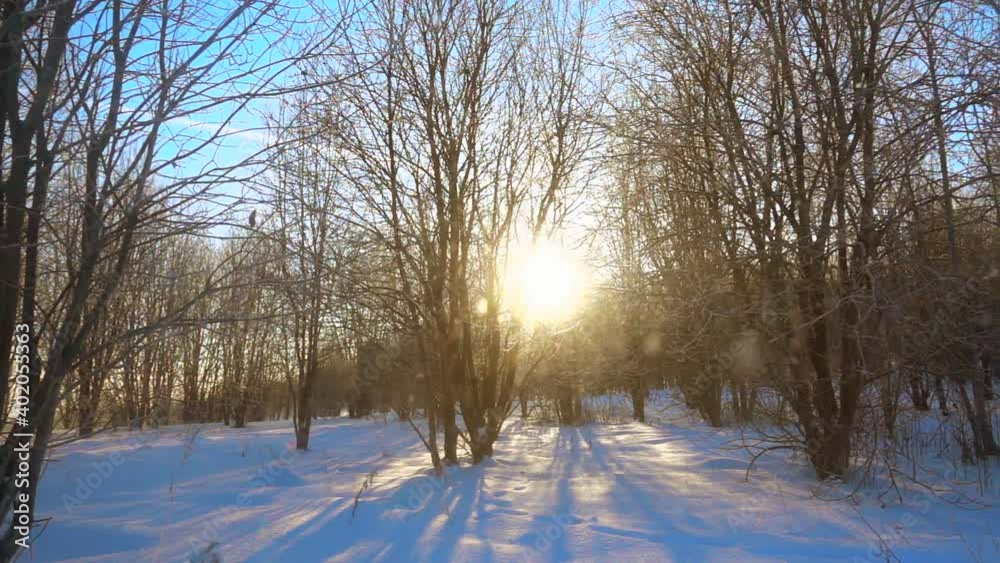 Slow motion, shining snow at beautiful winter evening.