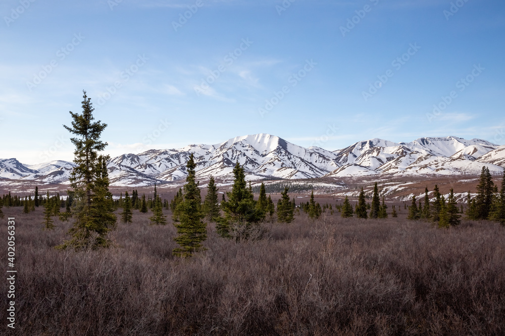Stunning view of the Alaskan mountain range in Denali National Park