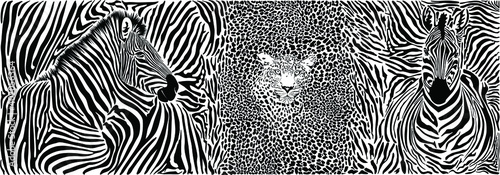Wild animal background - template with motif zebras and leopard