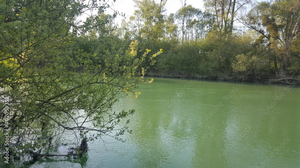 Fototapeta premium Seine tranquille