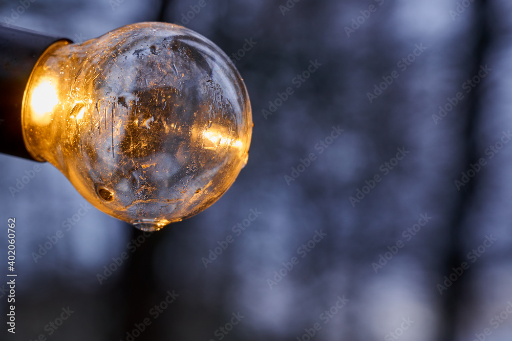 Frozen decorative light bulb on outdoor with a blurry background.
