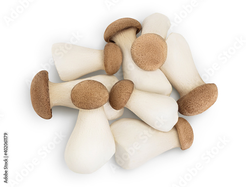 King Oyster mushroom or Eringi isolated on white background with clipping path. Top view. Flat lay photo