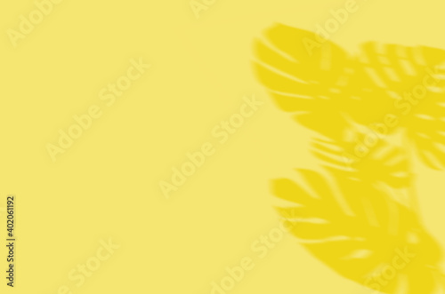 Summer Background Of Shadows Branch Leaves On a Wall. Illuminating Pantone Color Of The Year 2021