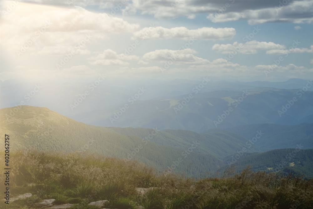 Fototapeta premium Carpathians mountain range at summer morning. Beauty of wild virgin Ukrainian nature. Peacefulness.