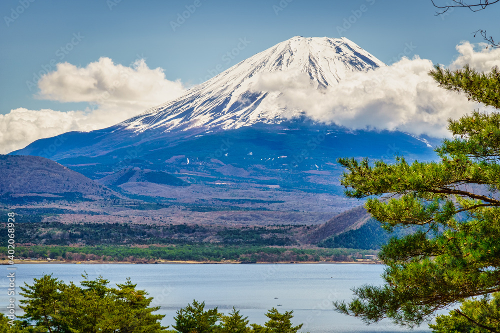 Mt Fuji framed by trees with a dusting of clouds and a blue sky Mt Fuji framed by trees with a dusting of clouds and a blue sky