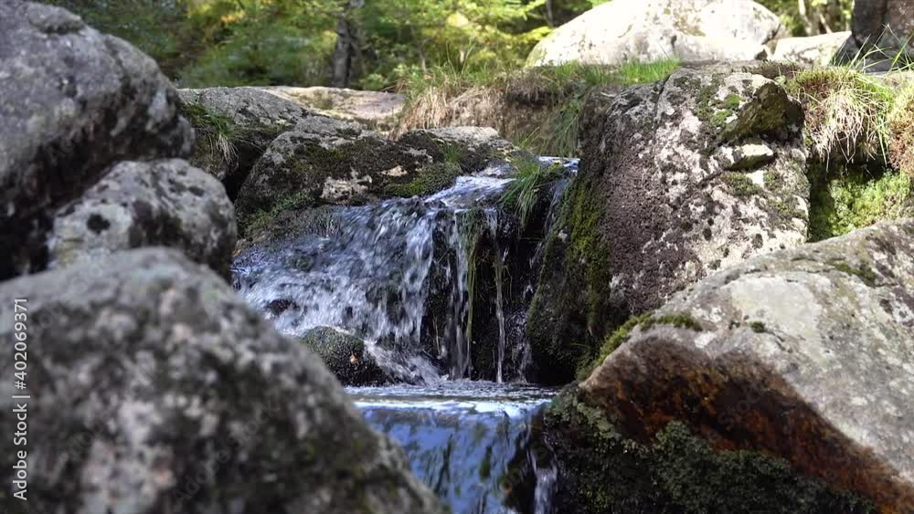 A stream flowing from a waterfall. Flowing through the forest. Slow motion A stream flowing from a waterfall. Flowing through the forest. Slow motion