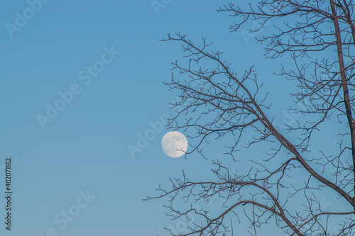 moon on the sky