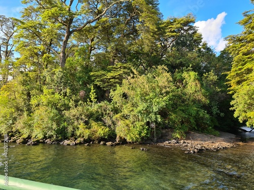 lake and trees