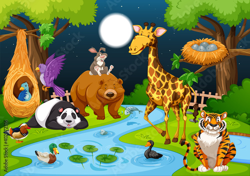 Wild animals in the forest at night scene