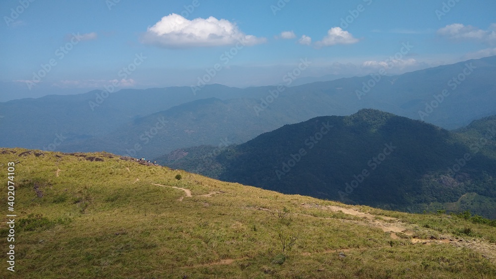 Obraz premium Beautiful grassland, Ponmudi hill station Thiruvananthapuram, Kerala landscape view