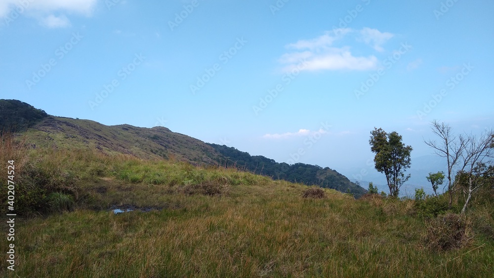 Beautiful grassland, Ponmudi hill station Thiruvananthapuram, Kerala landscape view Beautiful grassland, Ponmudi hill station Thiruvananthapuram, Kerala landscape view
