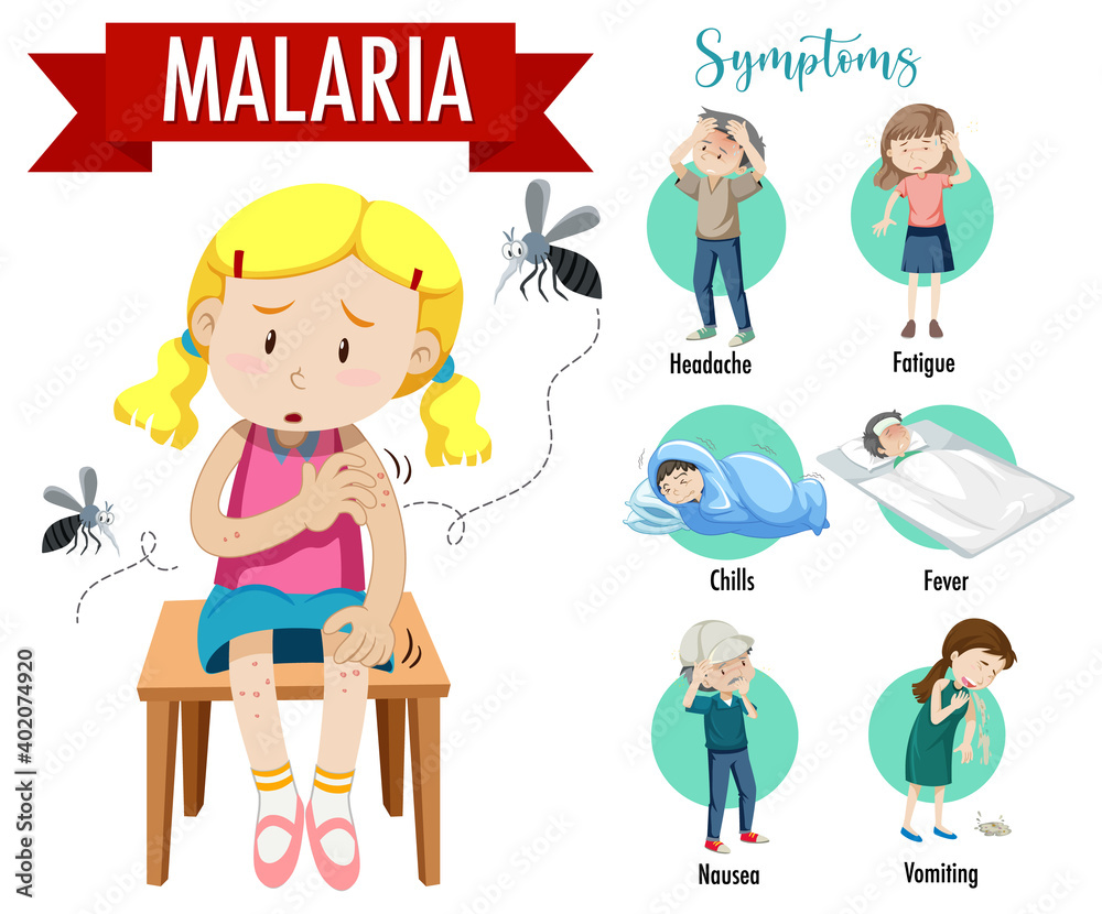 Malaria symptom information infographic Stock Vector Adobe Stock Malaria symptom information infographic Stock Vector Adobe Stock