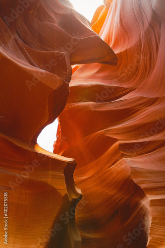 Grand Canyon nature footage in Arizona USA shot during the semmer