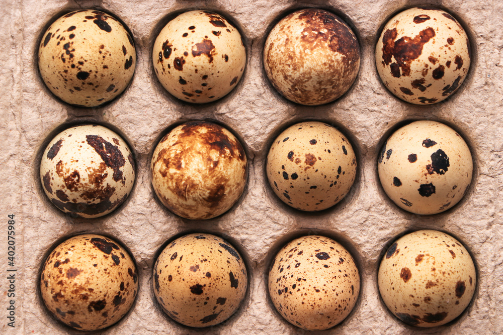 Quail eggs in craft packaging. View from above. Close-up. Quail eggs in craft packaging. View from above. Close-up.