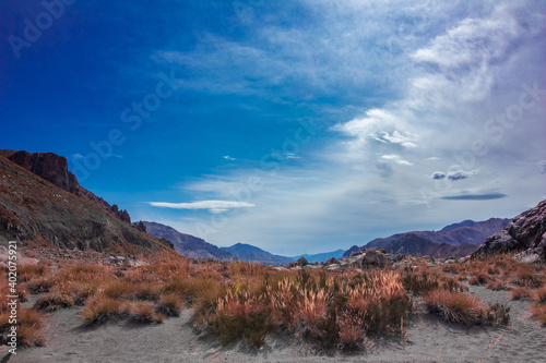 paso pehuenche, chile