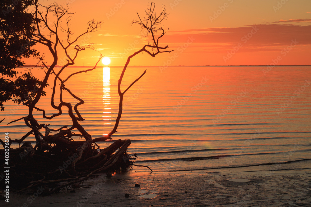 A Breathtaking Sunset Captured At The Beach With The Silhouette Of A ...