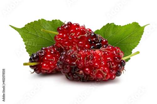 Organic mulberry fruits with green leaves isolated on white background.