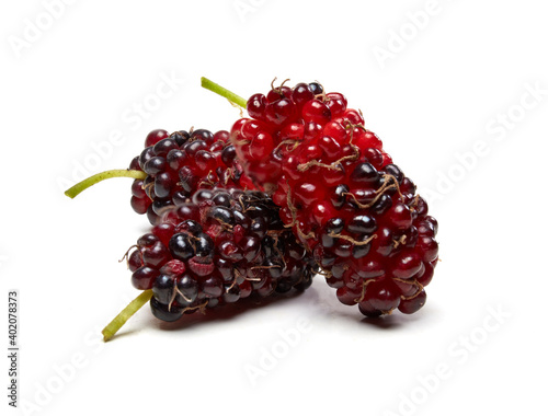 Mulberry fruits isolated on white background.