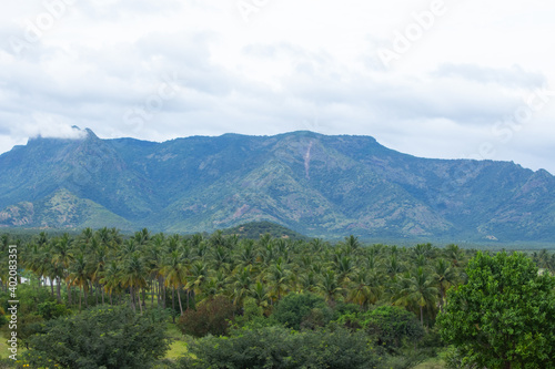 Hills and Farmlands of South India - Tamilnadu Landscape . Beautiful farmlands - A view from the hills of Theni District, South India. Stock Images. photo